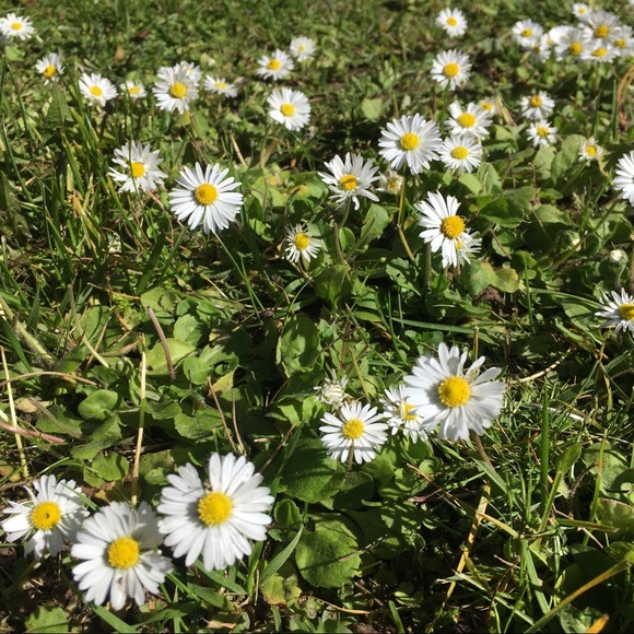 Meet your Posher, Erika - Picture 1 of 1